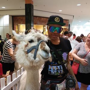 Meet your Posher, Andre